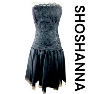 SHOSHANNA Strapless Lace & Tulle Cocktail Dress, Size 4.